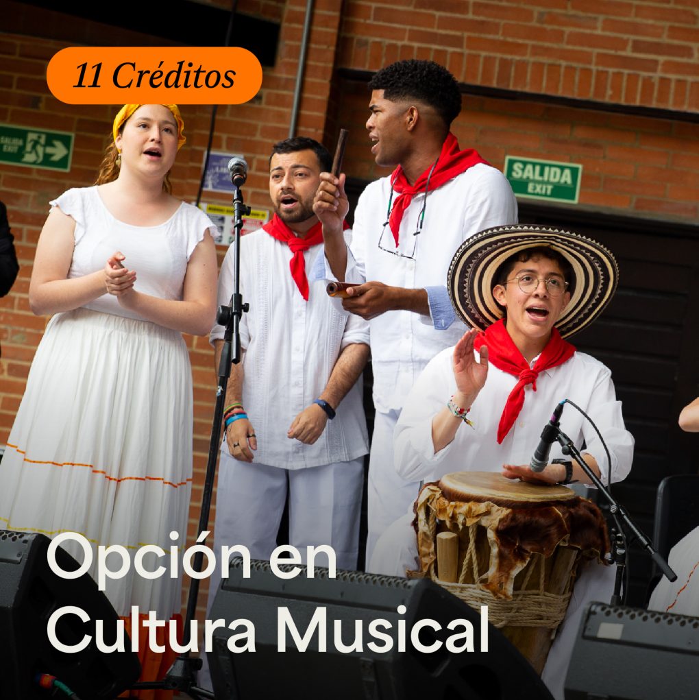 Opción en Cultura Musical - ArteHum