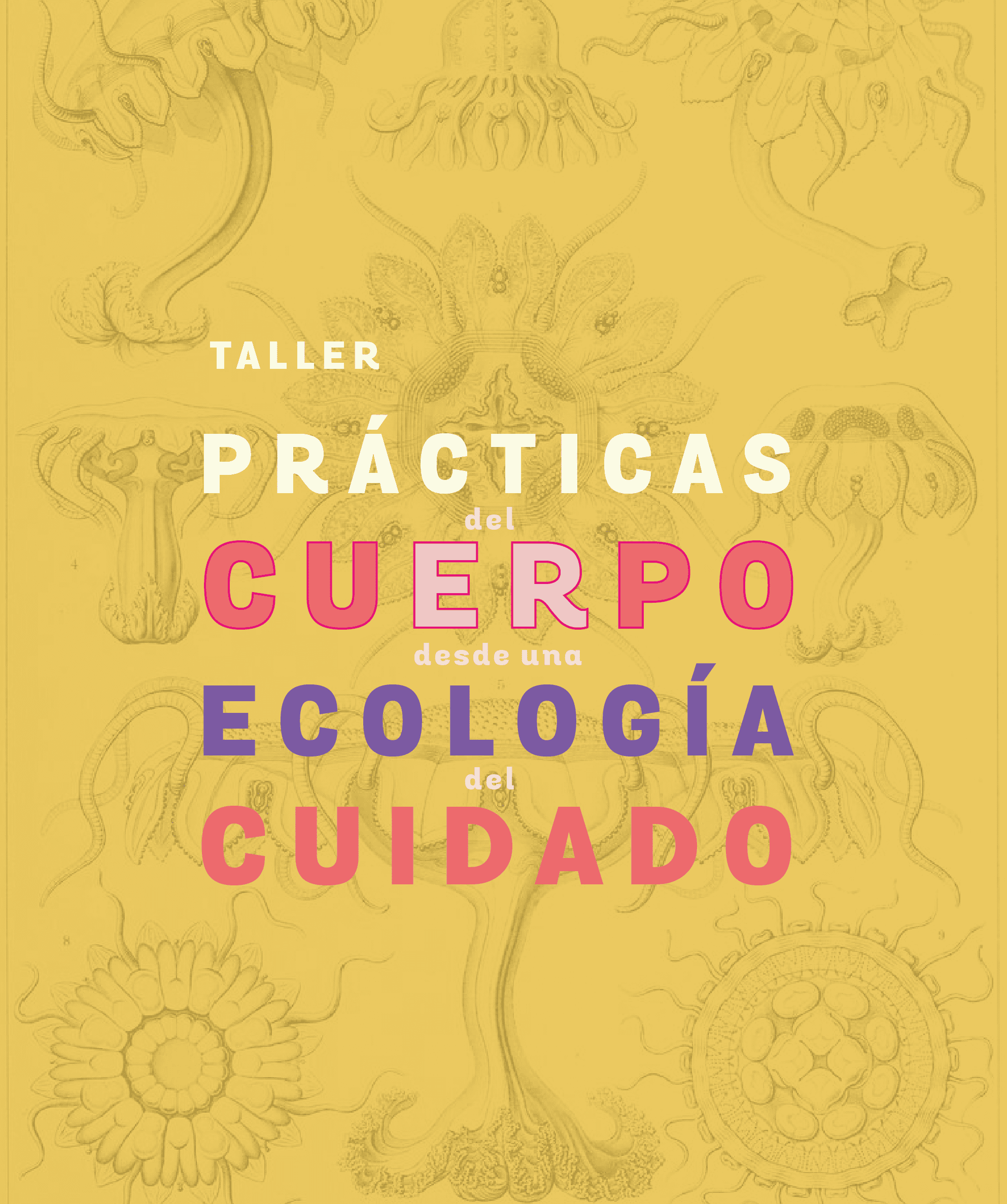 Taller Prácticas del Cuerpo desde una Ecología del cuidado