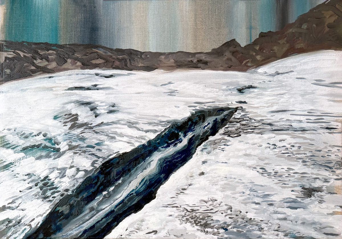 Relicto glaciar — Charla con Natalia Castañeda
