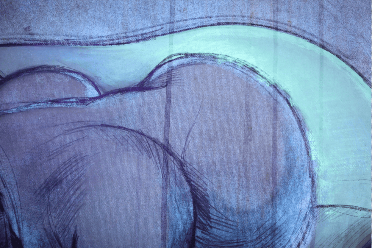 Semillero_LEAP_19
