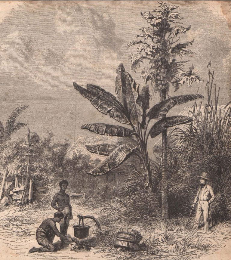 Lectura en voz alta: 150 años de Una holandesa en América, de Soledad Acosta de Samper — Homenaje a Carolina Alzate