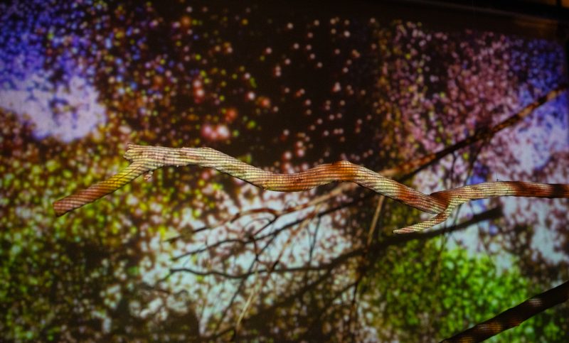 Imagen del anuncio egresada de arte, sabina gámez ibarra en exposición en montreal