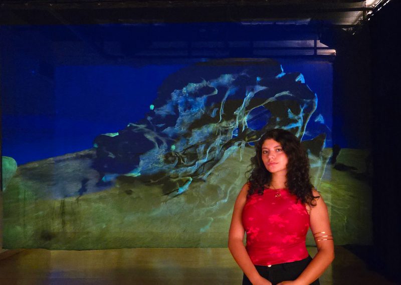 Imagen del anuncio egresada de arte, sabina gámez ibarra en exposición en montreal