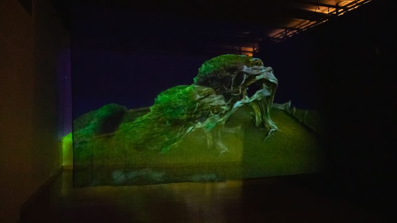 Imagen del anuncio egresada de arte, sabina gámez ibarra en exposición en montreal